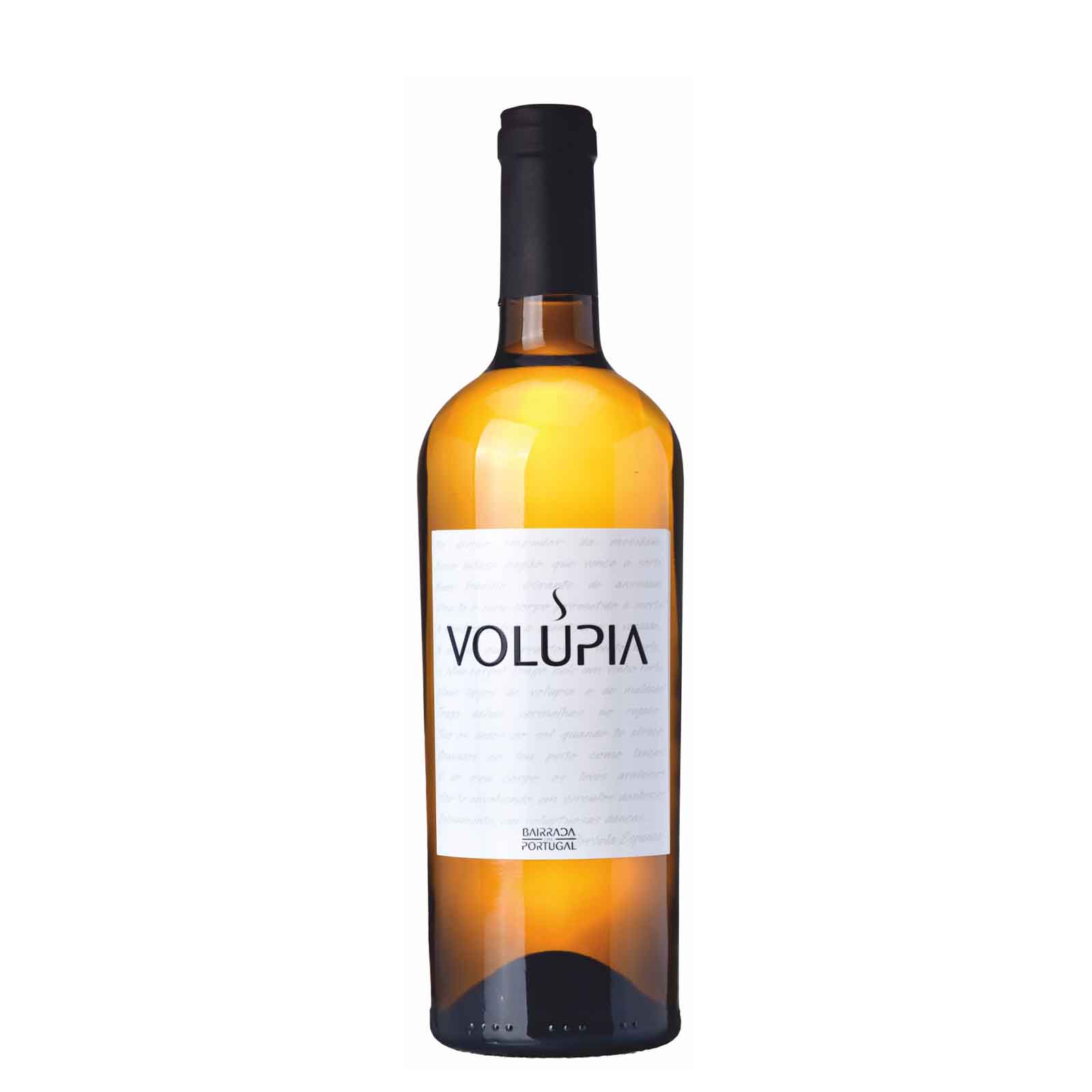 SD volupia br