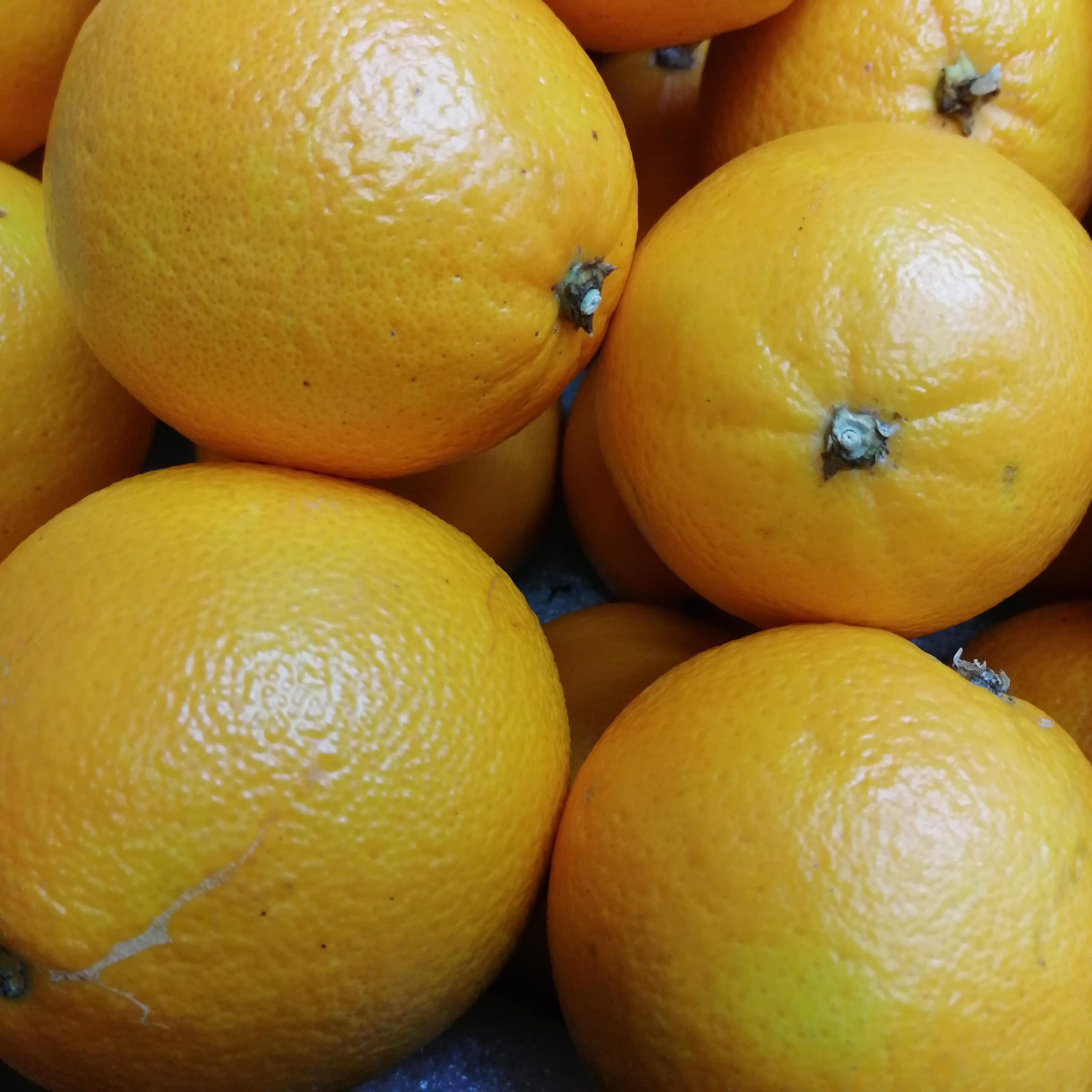 Laranja-scaled-1.jpg
