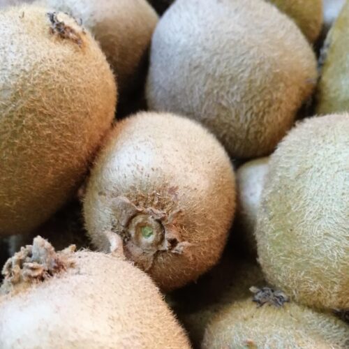 Kiwi Hayward (Importado) - Image 1